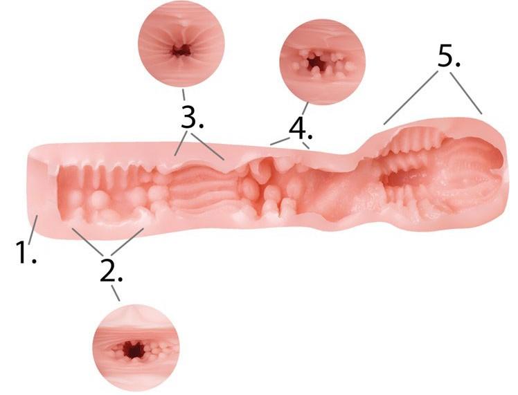cut through a tunnel of a sex toy 