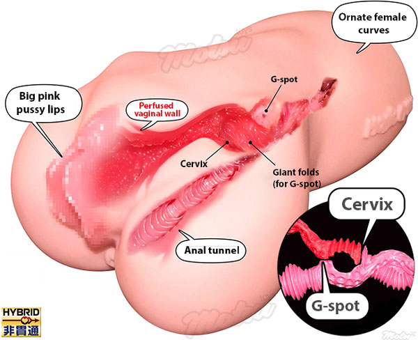 La Vie en Roses - onahole La Vie en Roses - Magic Eyes