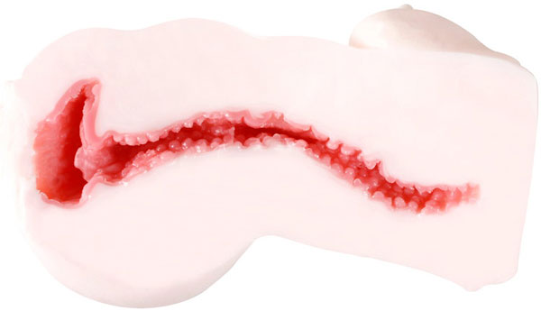 Tunnel Julia+ Onahole