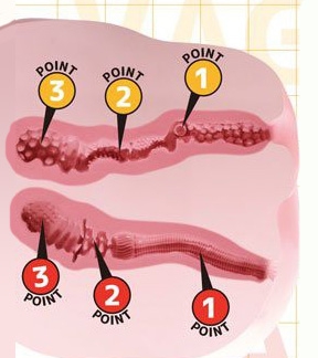 Maria Nordal Real Body 3D